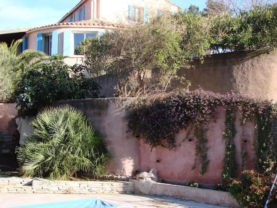 Incredible Apartment Near The Sea And Calanque ลาซิโอตาต์ ภายนอก รูปภาพ